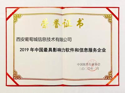 葡萄城荣膺“2019年中国软件行业最具影响力企业”
